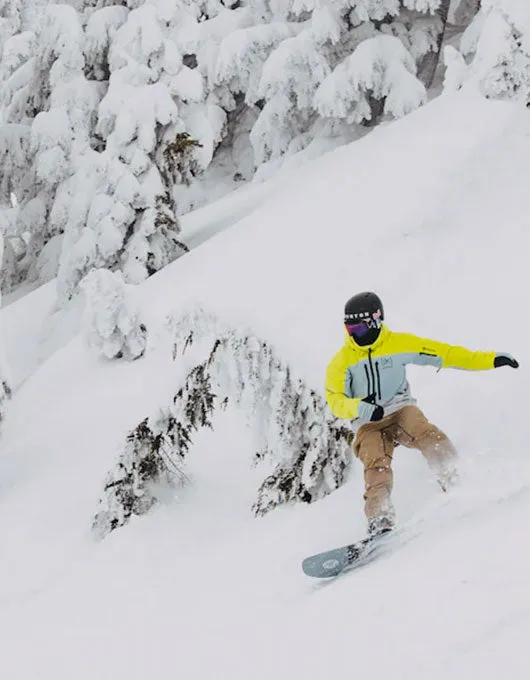 Burton [ak] Freebird GORE‑TEX 3L Bib Pant 2024 | Kelp