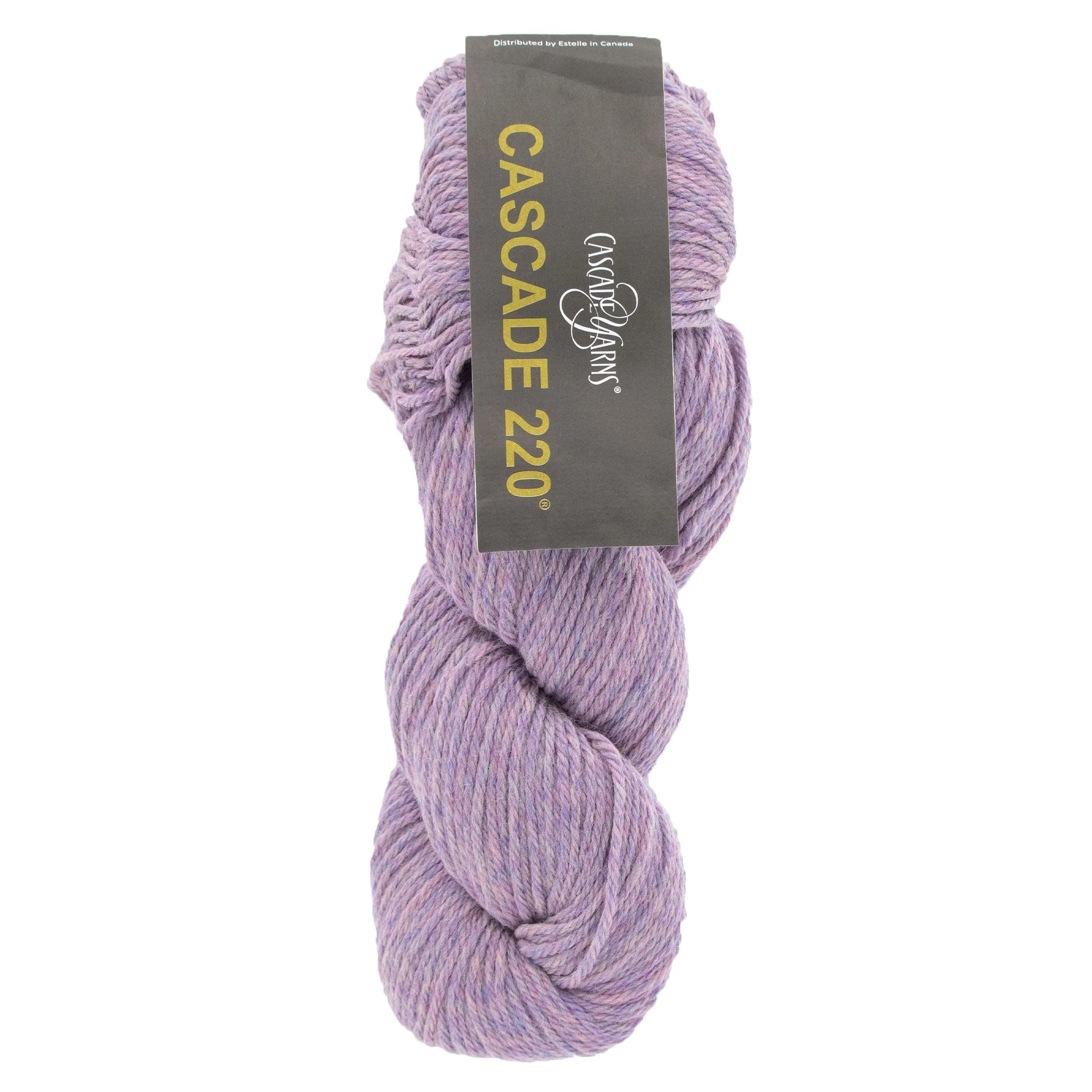 Cascade 220 Yarn - 1083 Sweet Pea Heather