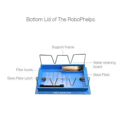 RP 25 Professional